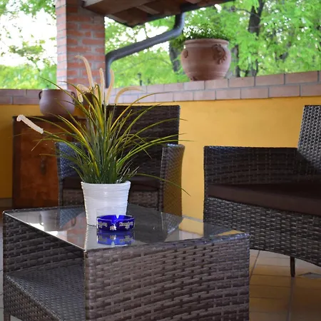 Fior Di Pesco 乡村民宿 索马坎帕尼亚