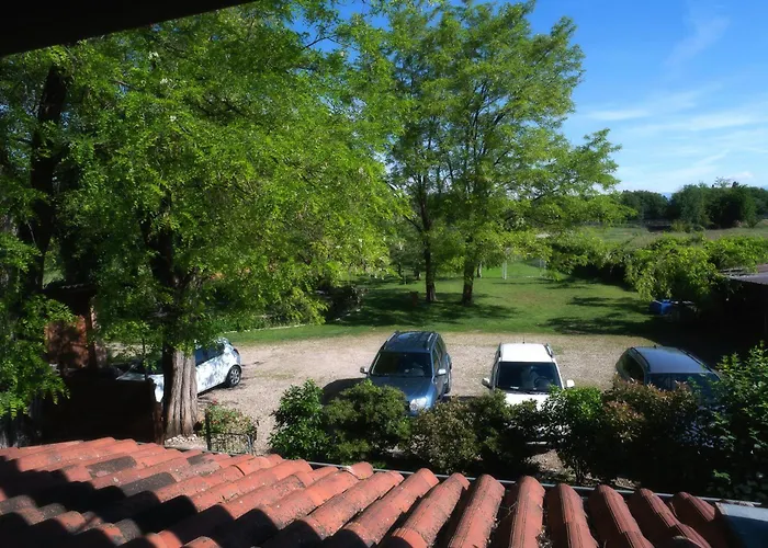 Fior Di Pesco *