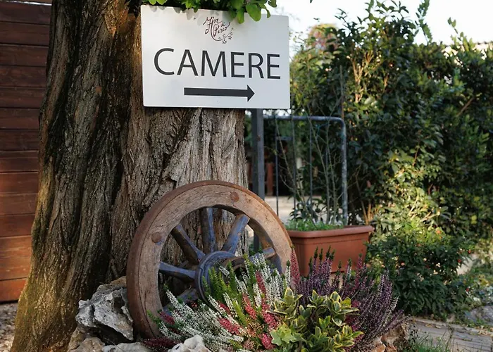 Fior Di Pesco * Sommacampagna