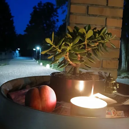 Fior Di Pesco *